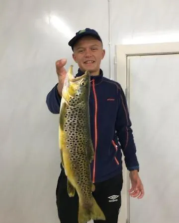 Kjosnes Vakantiehuis Skei (Sogn og Fjordane)