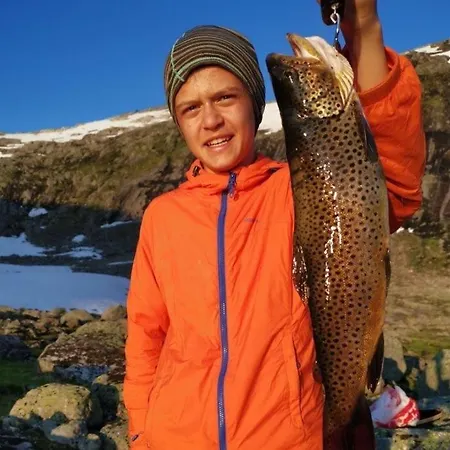 Kjosnes