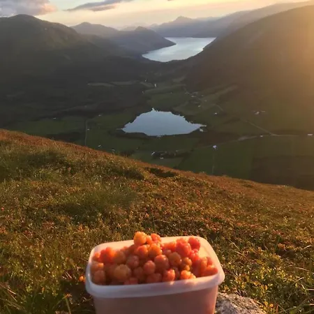 Kjosnes Vakantiehuis Skei (Sogn og Fjordane)