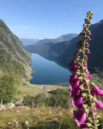 Kjosnes Vakantiehuis Skei (Sogn og Fjordane)