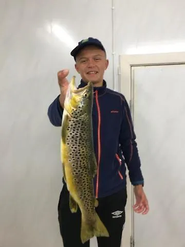 Kjosnes Feriehus Skei (Sogn og Fjordane)