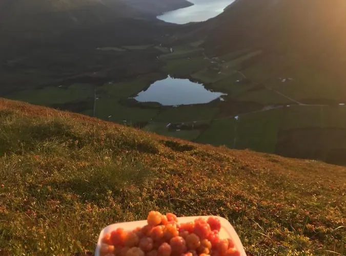 Kjosnes Feriehus Skei (Sogn og Fjordane)