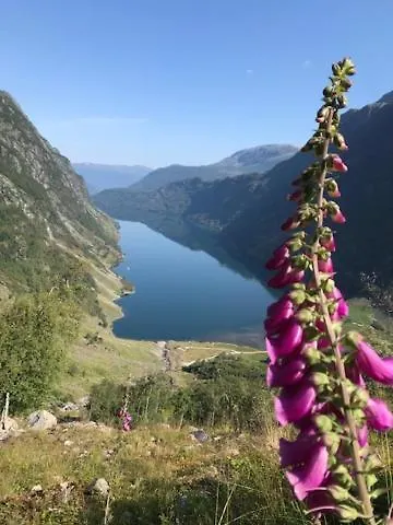 Kjosnes Feriehus Skei (Sogn og Fjordane)
