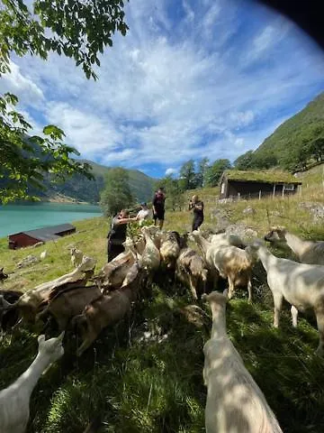 Kjosnes Feriehus Skei (Sogn og Fjordane)